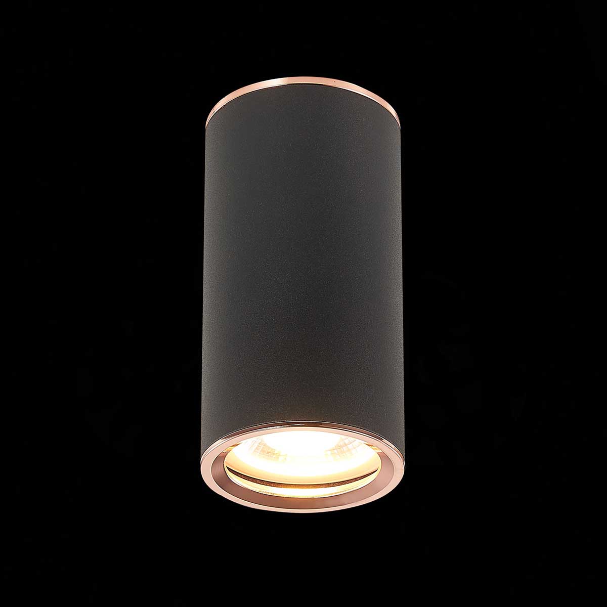 Потолочный светильник ST Luce Chomus ST111.427.01 Потолочный светильник ST Luce Chomus ST111.427.01