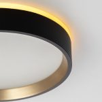 Настенно-потолочный светильник Citilux Etalon CL750181