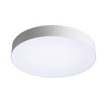 Настенно-потолочный светильник Sonex Basica Optima 7779/EL