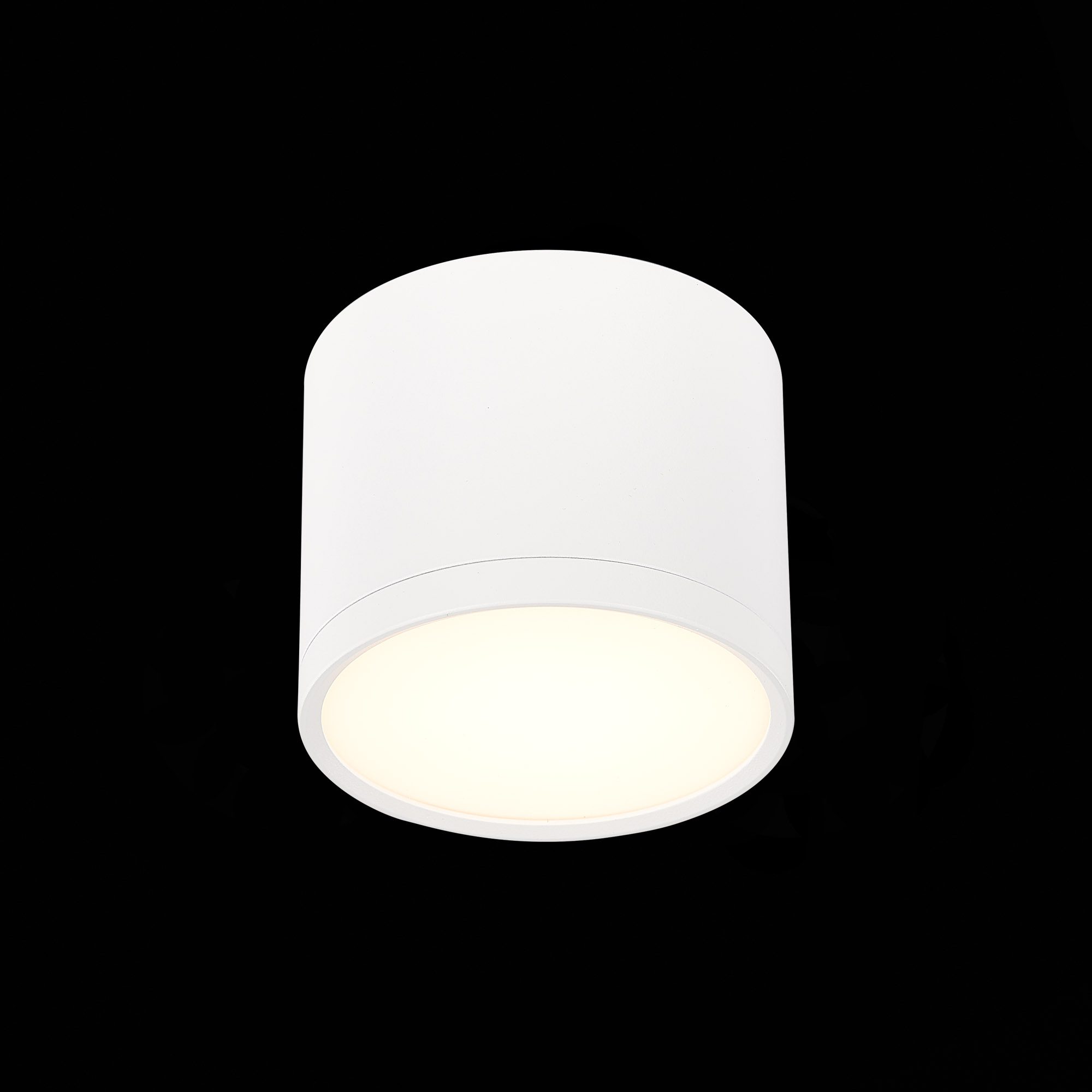 Потолочный светильник ST Luce Rene ST113.532.09 Потолочный светильник ST Luce Rene ST113.532.09