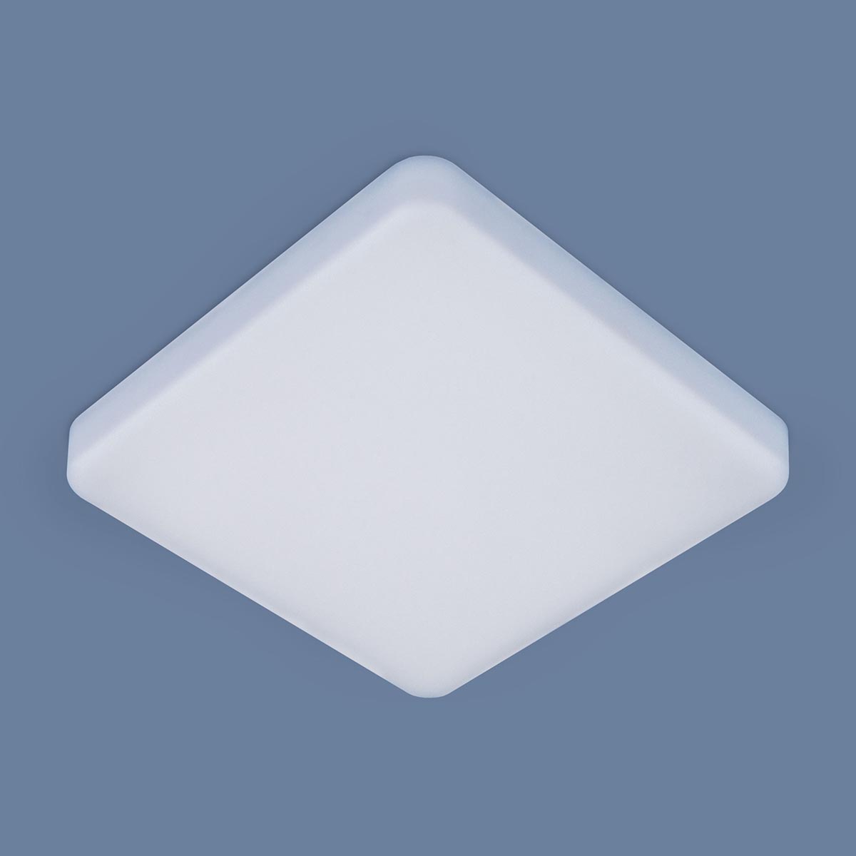 Потолочный светильник Elektrostandard DLS043 10W 4200K a047941 Потолочный светильник Elektrostandard DLS043 10W 4200K a047941