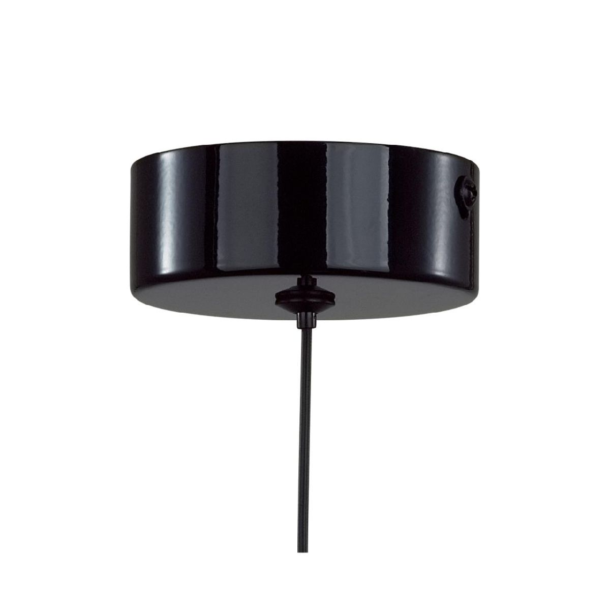 Подвесной светильник Lumion Globe 6568/6L Подвесной светильник Lumion Globe 6568/6L