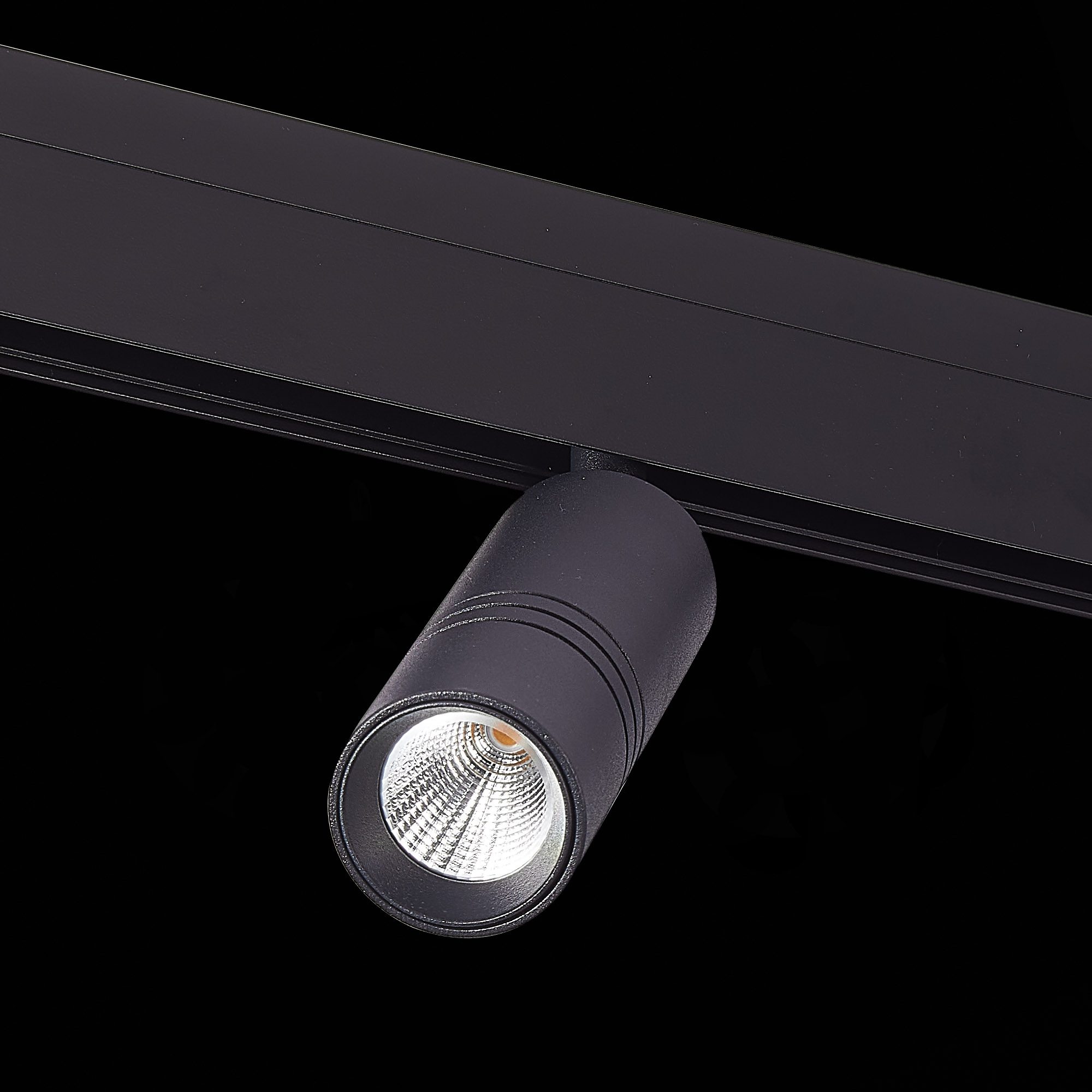 Трековый светильник ST Luce Lemmi ST365.436.12 Трековый светильник ST Luce Lemmi ST365.436.12