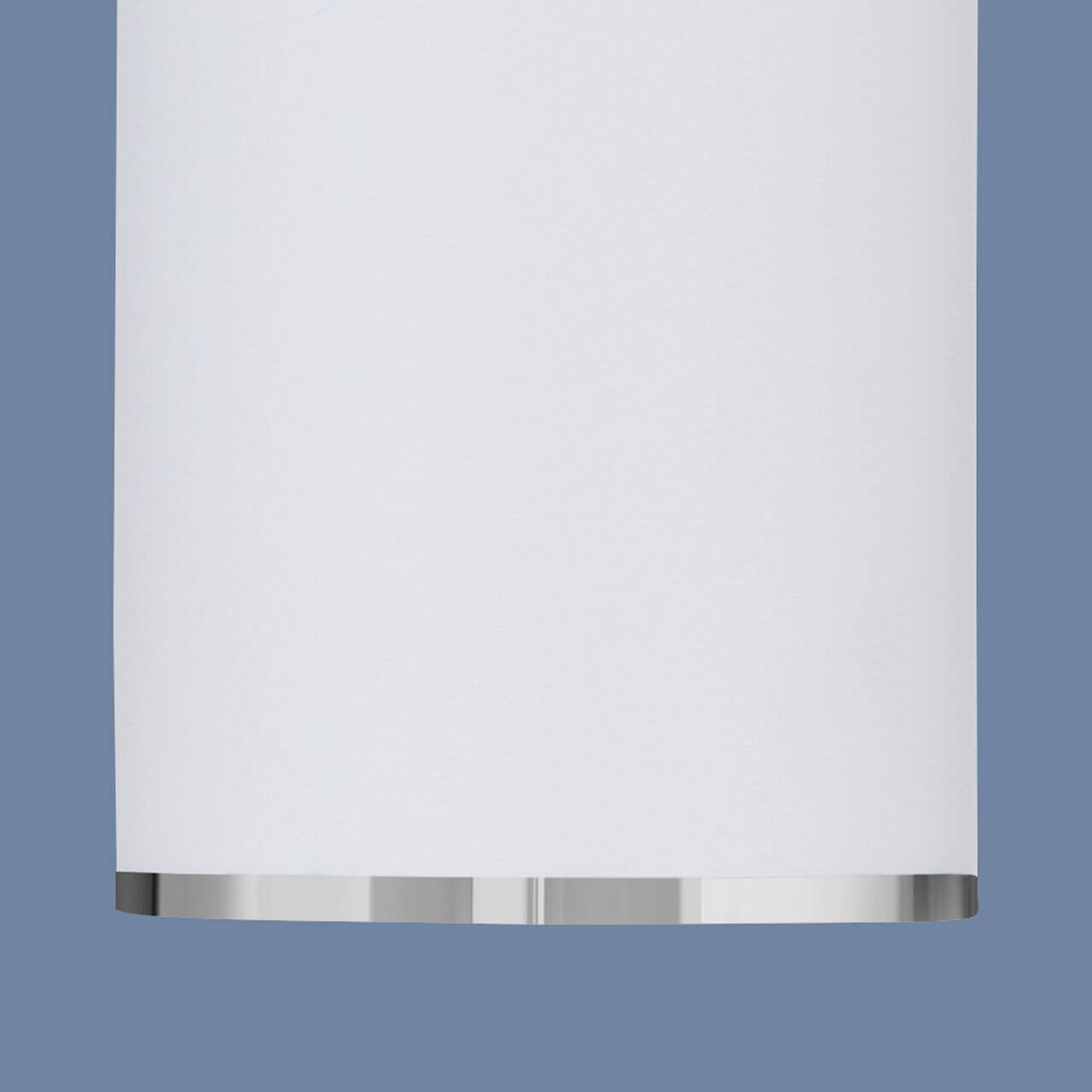 Потолочный светильник Elektrostandard DLN101 GU10 WH белый 4690389135859 Потолочный светильник Elektrostandard DLN101 GU10 WH белый 4690389135859