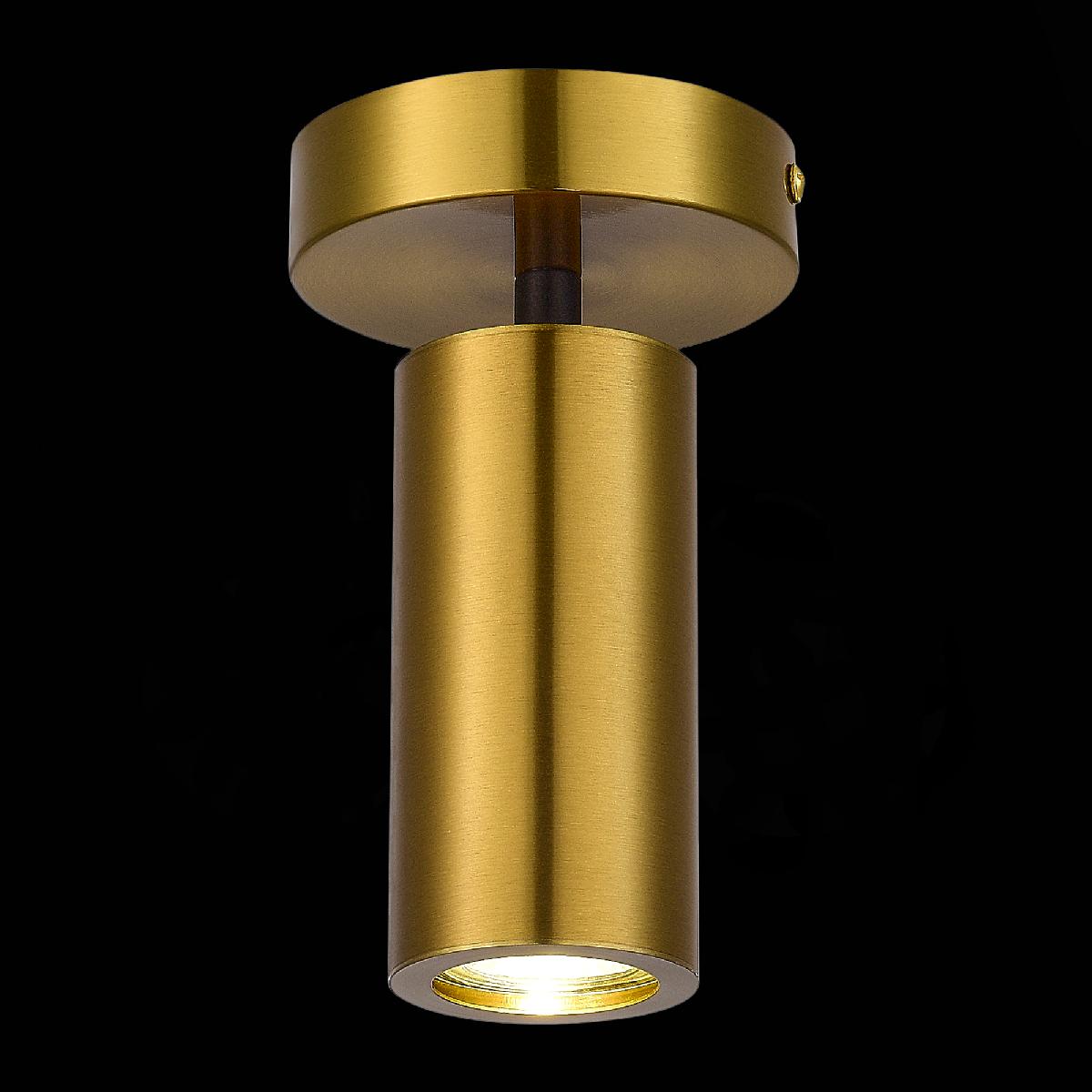 Потолочный светильник ST Luce Talia SL1215.402.01 Потолочный светильник ST Luce Talia SL1215.402.01