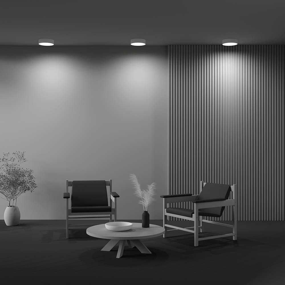 Потолочный светильник Maytoni Technical Ceiling Zon C032CL-24W4K-RD-MG Потолочный светильник Maytoni Technical Ceiling Zon C032CL-24W4K-RD-MG
