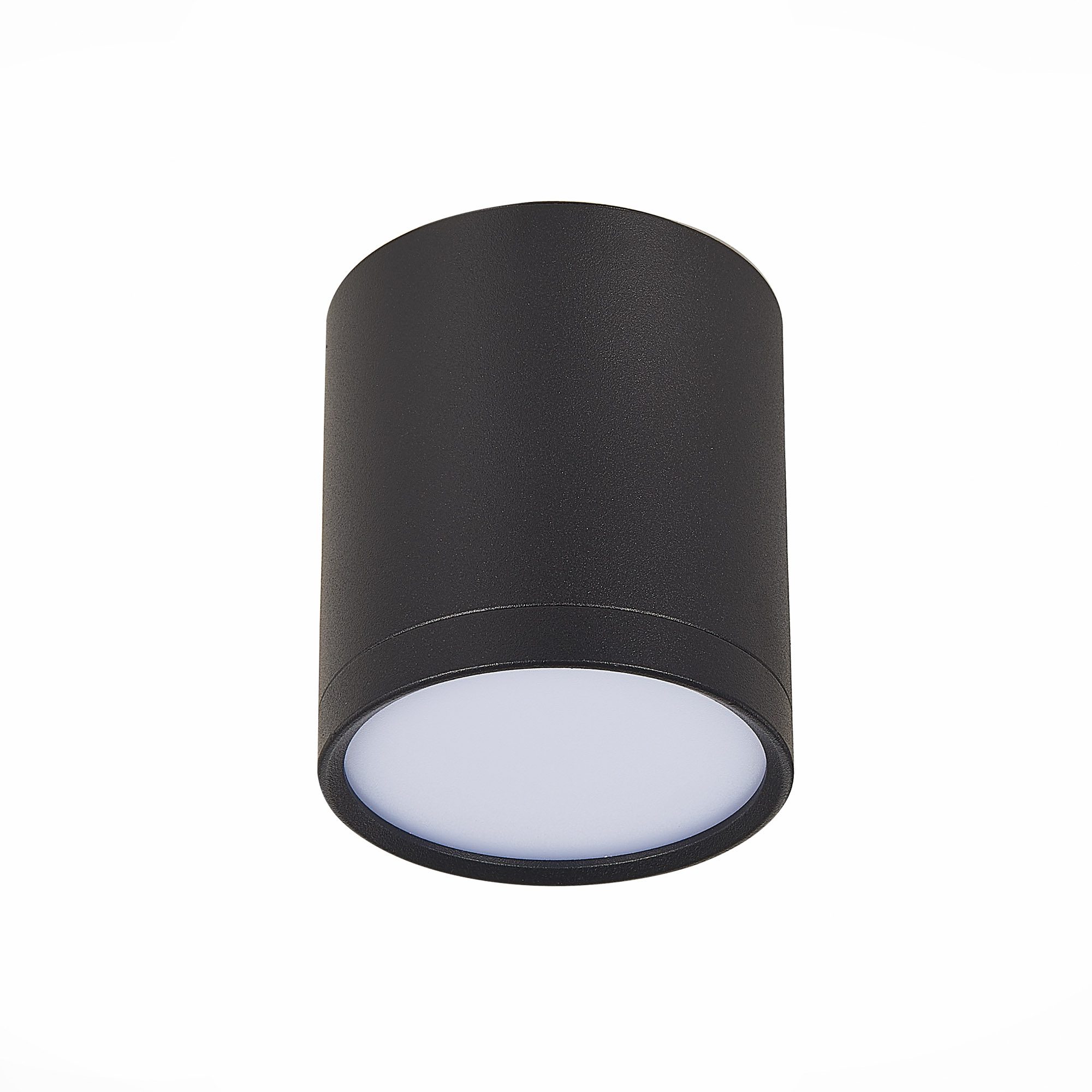 Потолочный светильник ST Luce Rene ST113.442.05 Потолочный светильник ST Luce Rene ST113.442.05