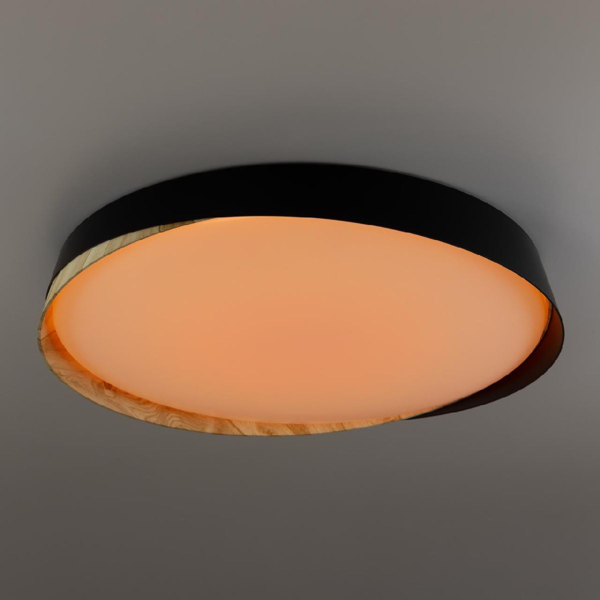 Потолочный светильник Citilux Bonny CL754451G Потолочный светильник Citilux Bonny CL754451G