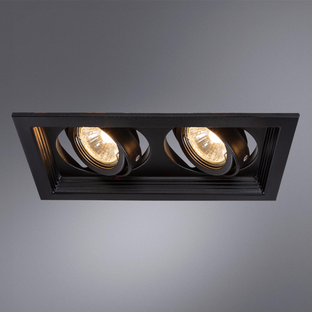 Встраиваемый светильник Arte Lamp Canis A6661PL-2BK Встраиваемый светильник Arte Lamp Canis A6661PL-2BK