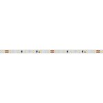Светодиодная лента Arlight 9,6W/m 120LED/m 2216SMD дневной белый 5M 024413(2)