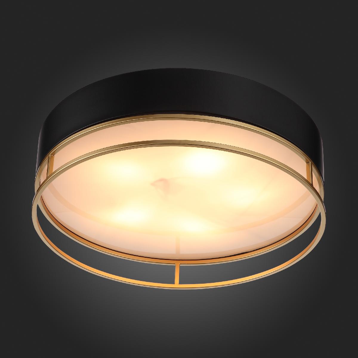 Накладная люстра ST-Luce SL1127.432.05 Накладная люстра ST-Luce SL1127.432.05