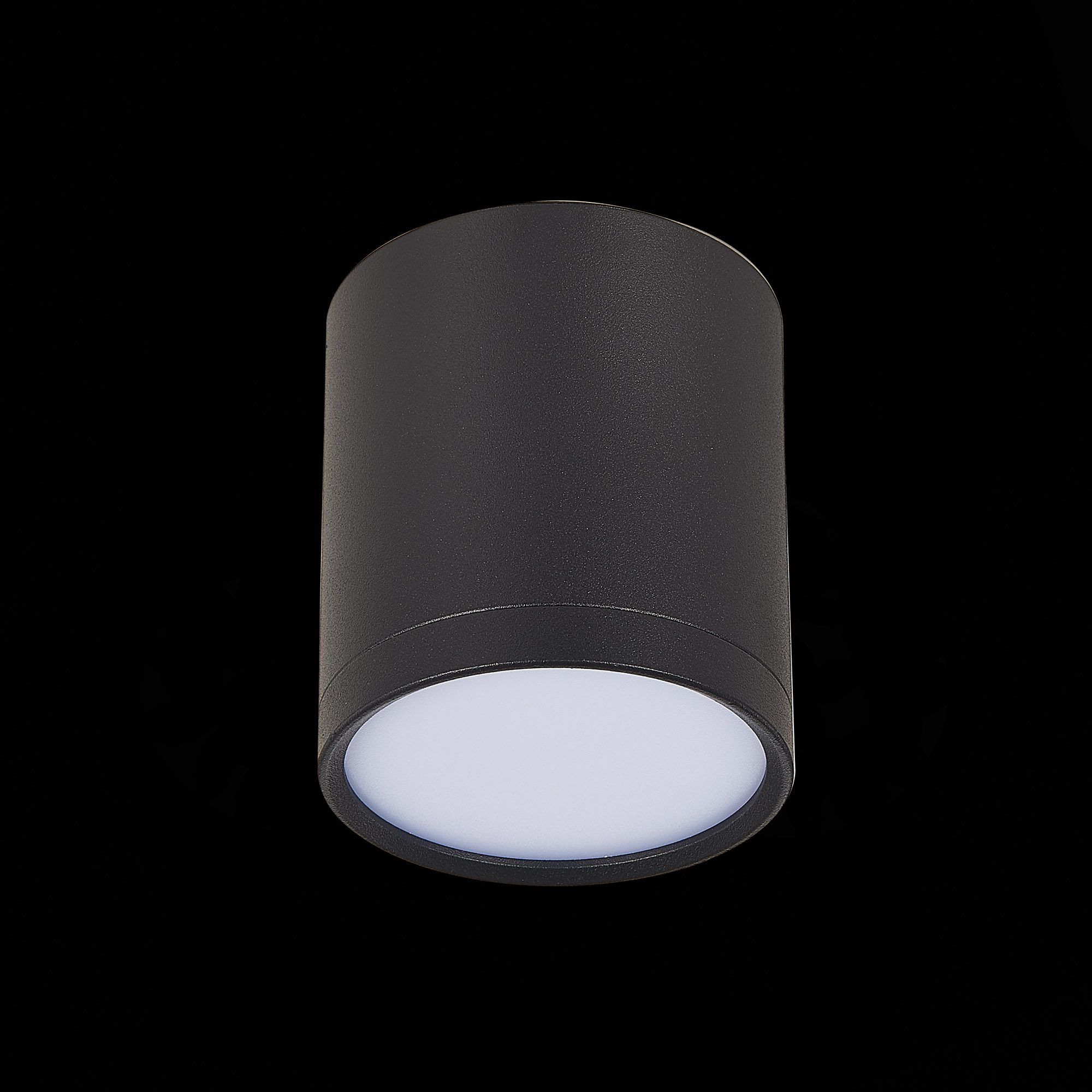 Потолочный светильник ST Luce Rene ST113.442.05 Потолочный светильник ST Luce Rene ST113.442.05