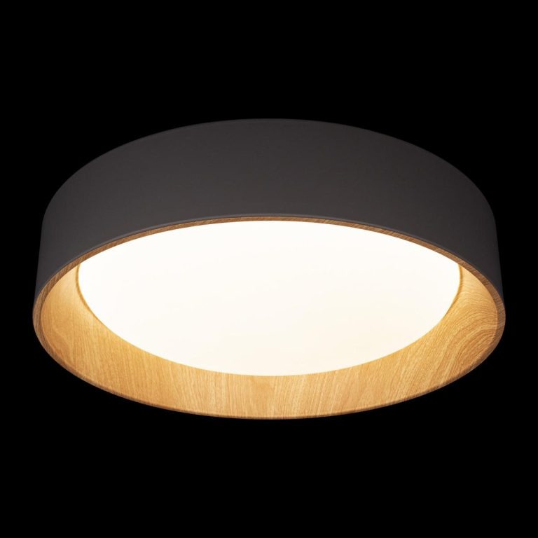 Потолочный светильник Loft IT Coin 10202 Grey