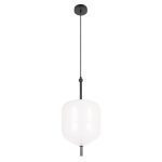 Подвесной светильник Loft IT Venice 10223/D White