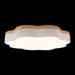 Потолочный светильник Loft IT Axel 10225/36 White