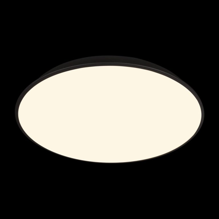 Потолочный светильник Loft IT Brim 10226 Black