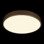 Потолочный светильник Loft IT Flims 10228/A