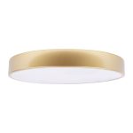 Потолочный светильник Loft IT Flims 10228/A