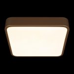 Потолочный светильник Loft IT Flims 10228/C