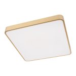 Потолочный светильник Loft IT Flims 10228/D