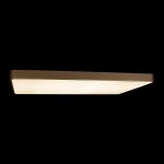 Потолочный светильник Loft IT Flims 10228/E