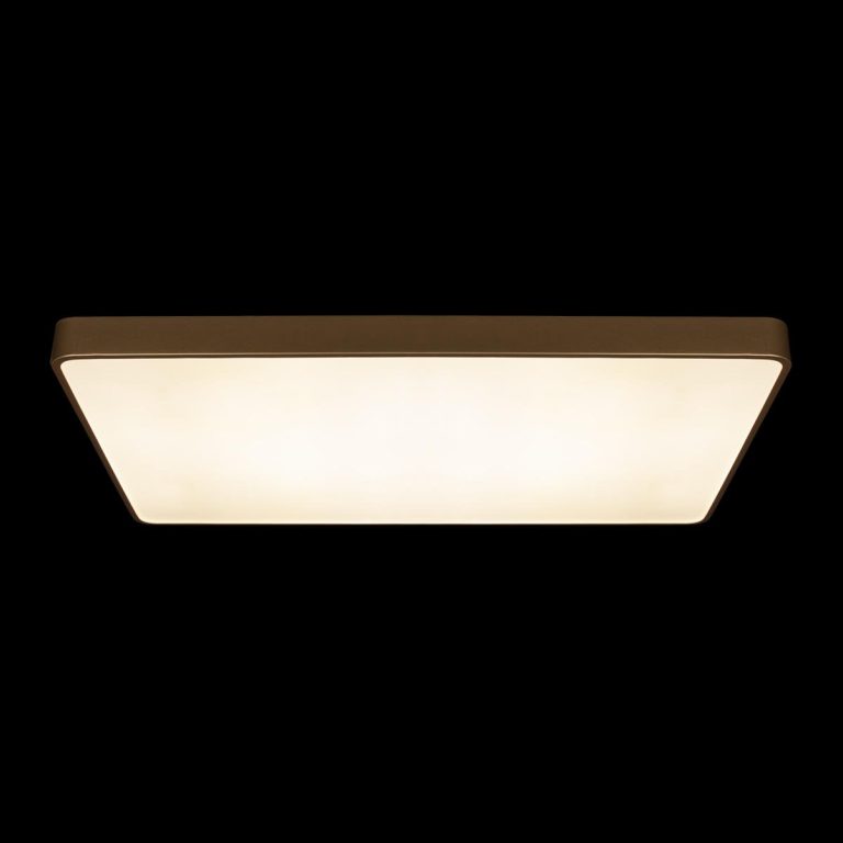 Потолочный светильник Loft IT Flims 10228/E