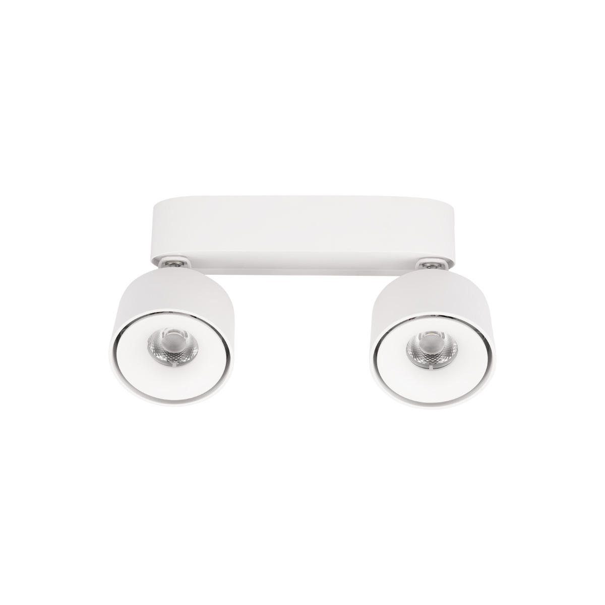 Накладной спот Loft IT Focus 10323/2A White Накладной спот Loft IT Focus 10323/2A White
