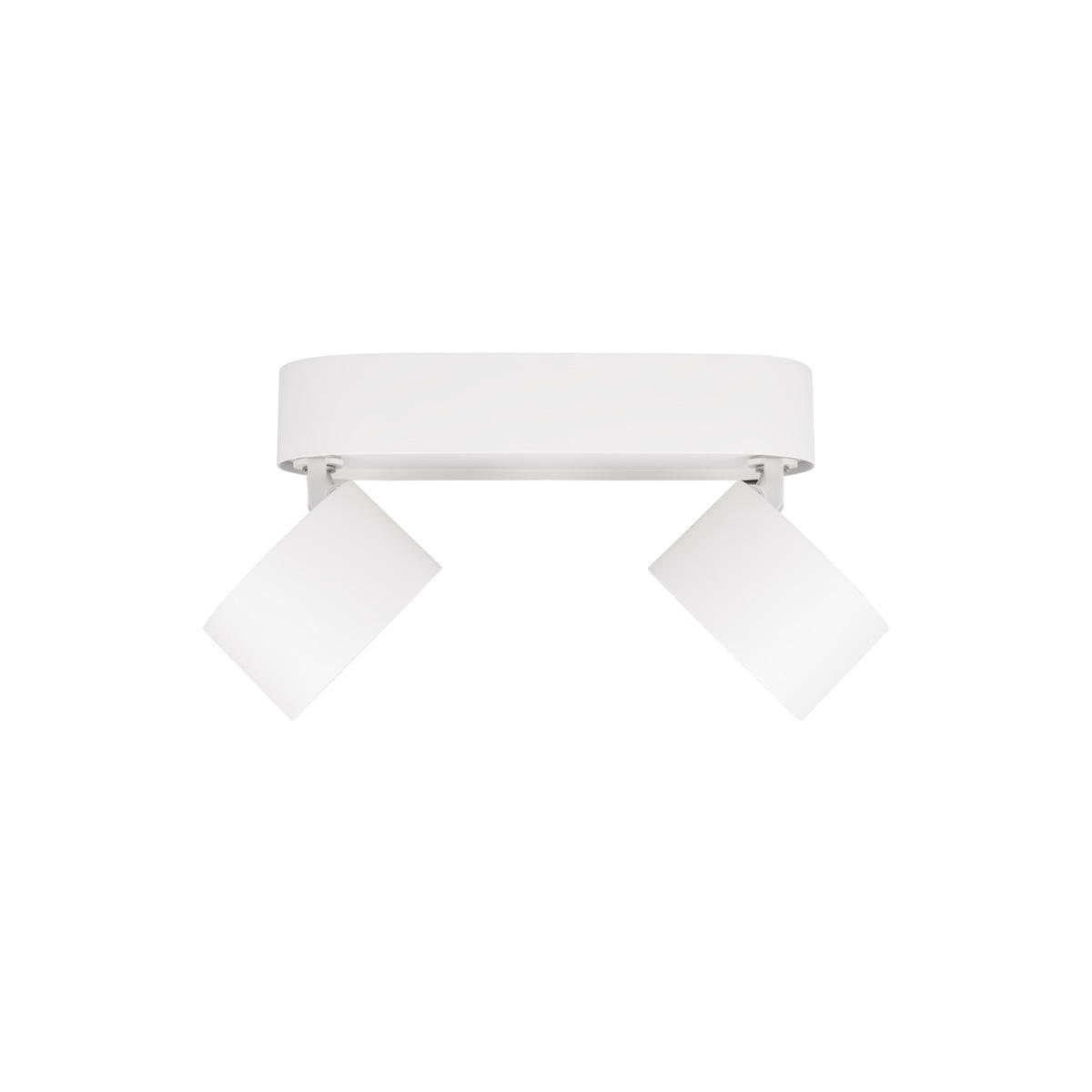 Накладной спот Loft IT Focus 10323/2A White Накладной спот Loft IT Focus 10323/2A White