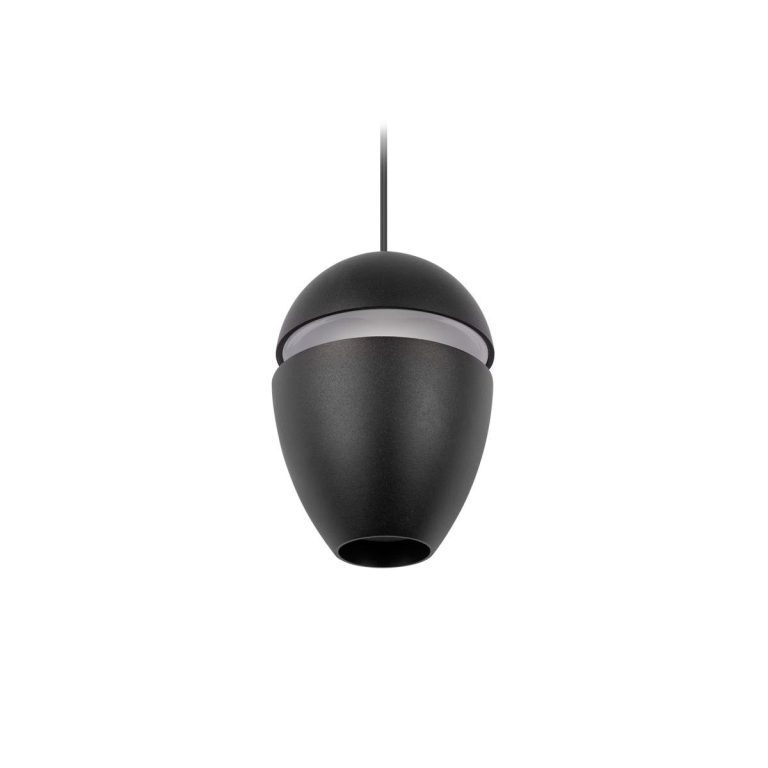 Подвесной светильник Loft IT Viterbo 10336 Black