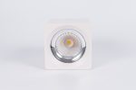 Накладной светодиодный светильник Fiberli CH-SD220-1(W) 12120103