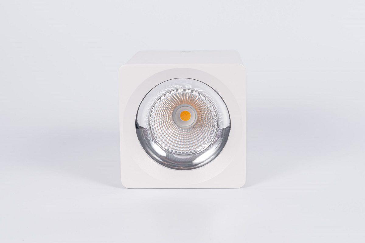 Накладной светодиодный светильник Fiberli CH-SD220-1(W) 12120103 Накладной светодиодный светильник Fiberli CH-SD220-1(W) 12120103