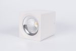 Накладной светодиодный светильник Fiberli CH-SD220-1(W) 12120103