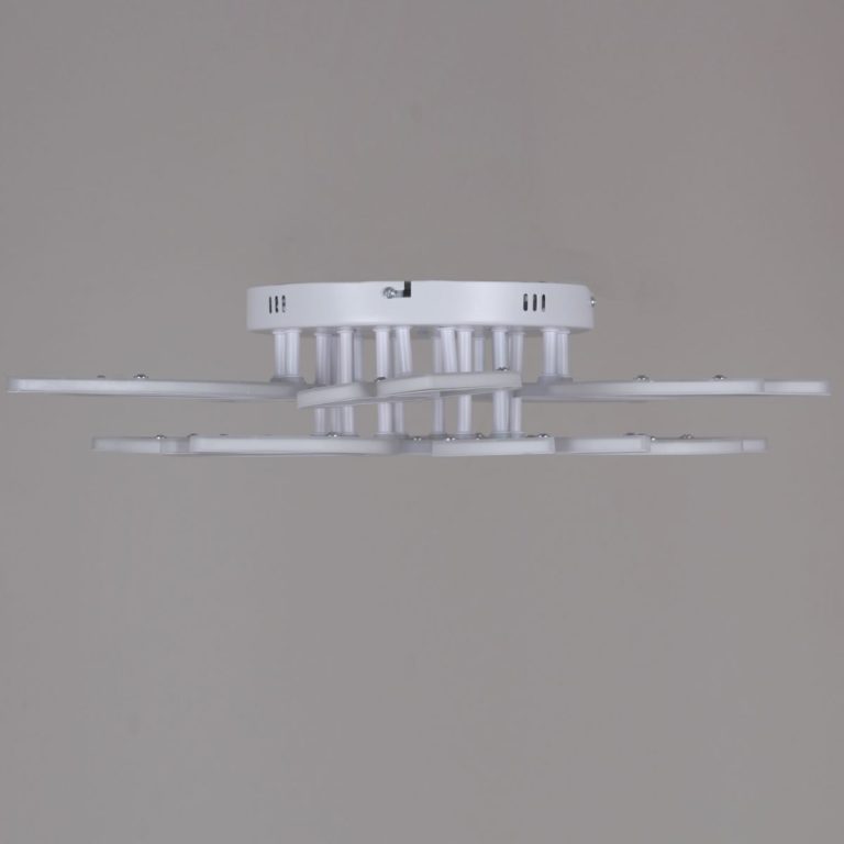 Потолочная люстра Reluce 00150-0.3-5+5 WH