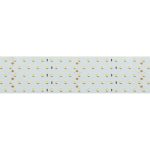 Светодиодная лента Arlight RT-A350-58mm 24V White6000 (36 W/m, IP20, 2835, 2.5m) 019082(2)