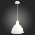 Подвесной светильник Evoluce Bacchi SLE114703-01