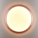 Настенно-потолочный светильник Sonex Color Portman 7778/ELN