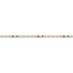 Светодиодная лента Arlight RT-A120-5mm 24V White6000 (9.6 W/m, IP20, 2835, 5m) 015651(2)