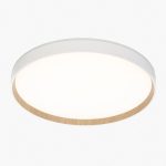 Потолочный светильник Citilux Etalon CL750400R