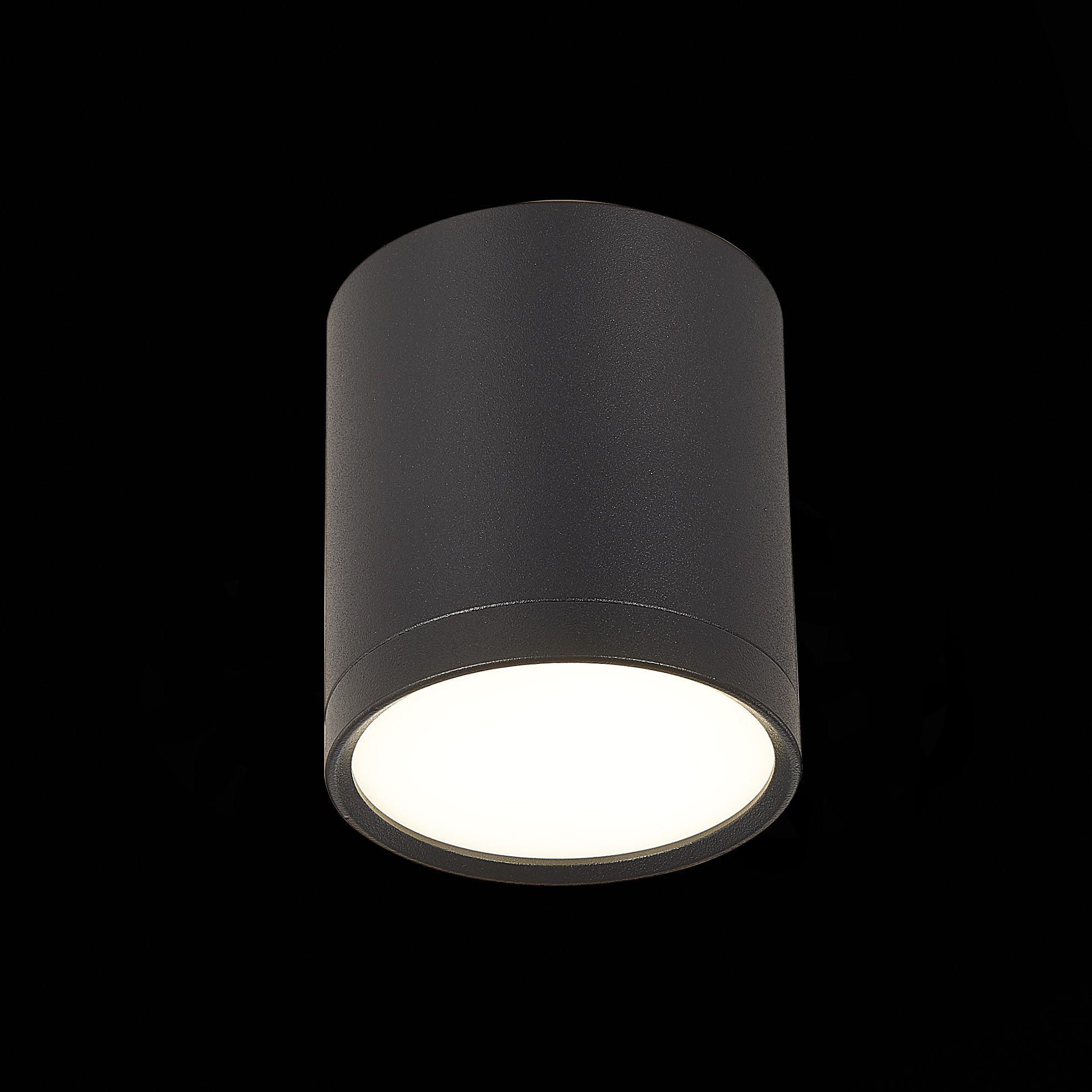 Потолочный светильник ST Luce Rene ST113.442.05 Потолочный светильник ST Luce Rene ST113.442.05