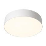 Потолочный светильник Citilux Bart CL755290