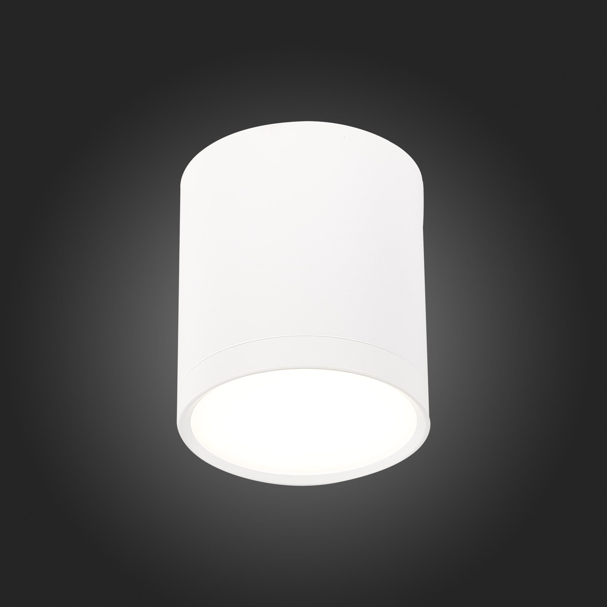 Потолочный светильник ST Luce Rene ST113.542.05 Потолочный светильник ST Luce Rene ST113.542.05