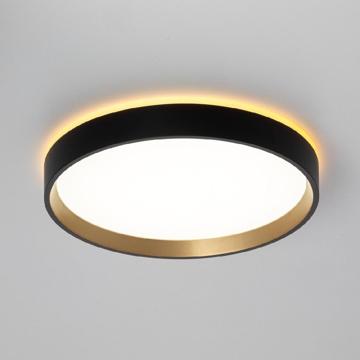 Настенно-потолочный светильник Citilux Etalon CL750241 Настенно-потолочный светильник Citilux Etalon CL750241