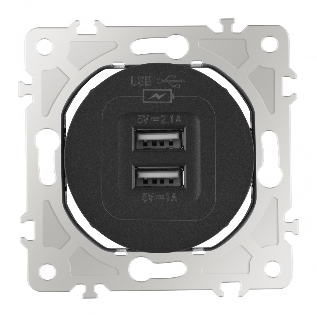Розетка USB 2.1А+1А Arte Milano 202.46-1.black Розетка USB 2.1А+1А Arte Milano 202.46-1.black