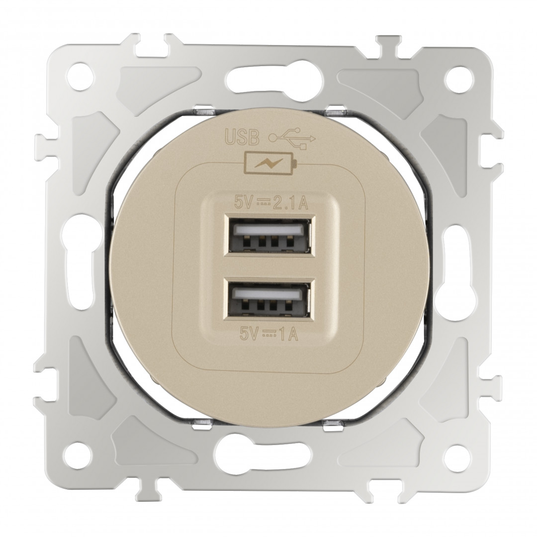 Розетка USB 2.1А+1А Arte Milano 202.46-1.shampan Розетка USB 2.1А+1А Arte Milano 202.46-1.shampan
