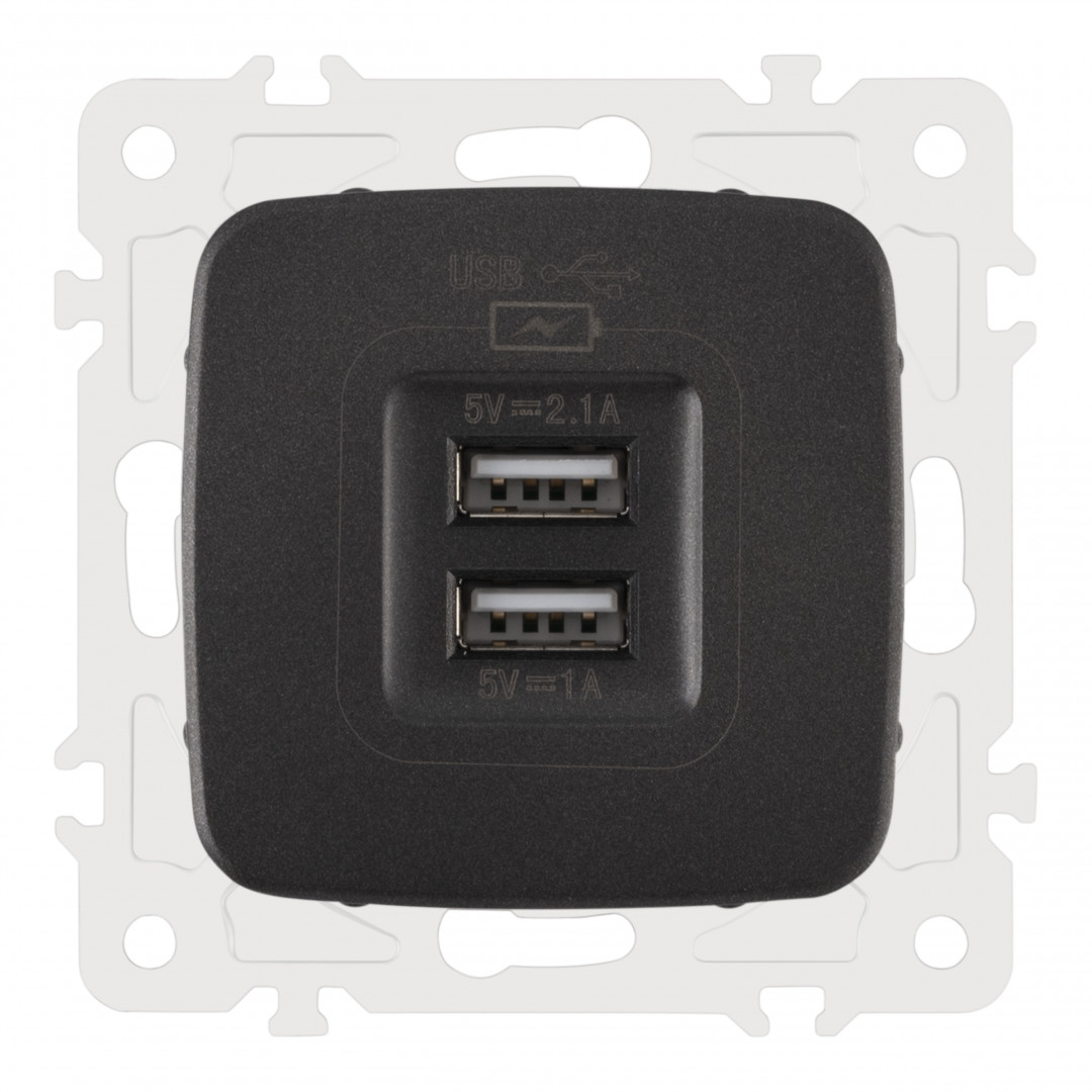 Розетка USB 2.1А+1А Arte Milano 205.46-1.black Розетка USB 2.1А+1А Arte Milano 205.46-1.black