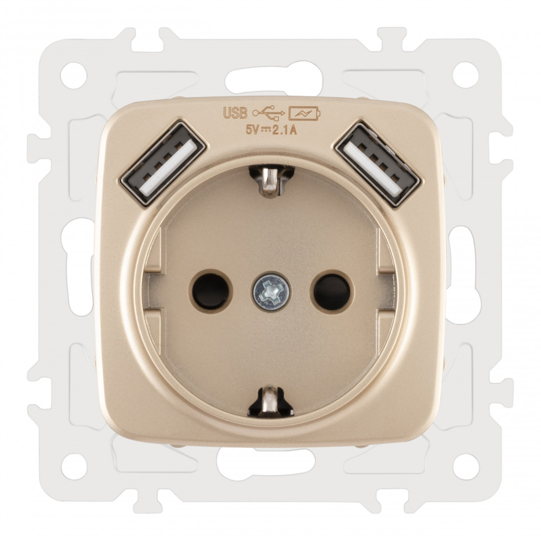 Розетка с заземлением, шторками + 2 USB Arte Milano 205.47-1.shampan Розетка с заземлением, шторками + 2 USB Arte Milano 205.47-1.shampan