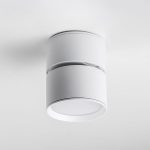 Накладной спот Lightstar Acuto 215836