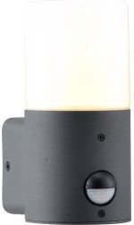 Уличный настенный светильник Escada 581/1A
