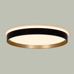 Потолочный светильник Citilux Etalon CL750321R