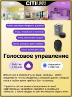 Потолочный светильник Citilux Альпина CL718A80G
